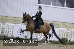 25R13_07537 thumbnail