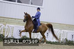25R13_07540 thumbnail
