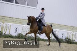 25R13_07541 thumbnail