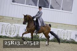 25R13_07542 thumbnail