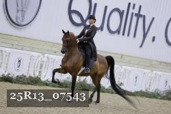 25R13_07543 thumbnail