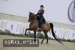 25R13_07544 thumbnail