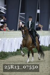 25R13_07550 thumbnail