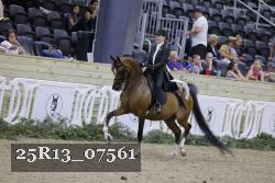 25R13_07561 thumbnail