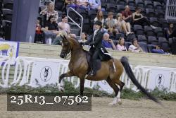 25R13_07562 thumbnail