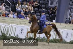 25R13_07567 thumbnail