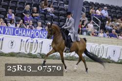 25R13_07570 thumbnail