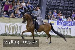 25R13_07572 thumbnail