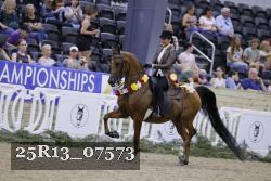 25R13_07573 thumbnail
