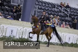 25R13_07577 thumbnail
