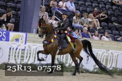 25R13_07578 thumbnail