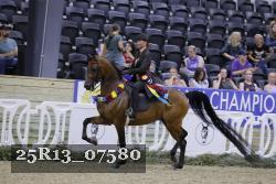 25R13_07580 thumbnail