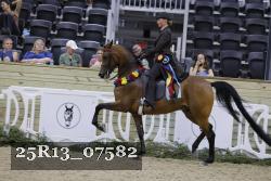 25R13_07582 thumbnail