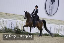 25R13_07584 thumbnail