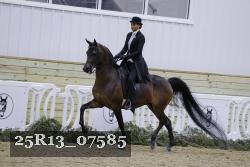 25R13_07585 thumbnail