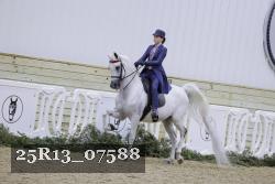 25R13_07588 thumbnail