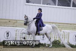25R13_07590 thumbnail