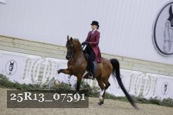 25R13_07591 thumbnail