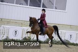 25R13_07592 thumbnail