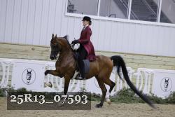 25R13_07593 thumbnail