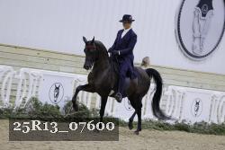 25R13_07600 thumbnail