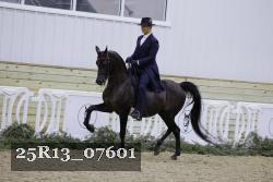 25R13_07601 thumbnail