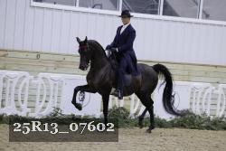 25R13_07602 thumbnail
