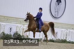 25R13_07603 thumbnail