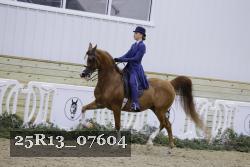 25R13_07604 thumbnail