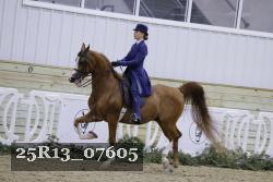 25R13_07605 thumbnail