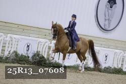 25R13_07608 thumbnail