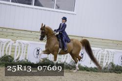 25R13_07609 thumbnail
