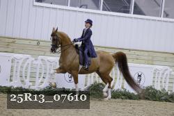 25R13_07610 thumbnail