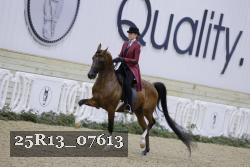 25R13_07613 thumbnail