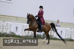 25R13_07614 thumbnail