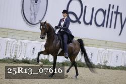 25R13_07616 thumbnail