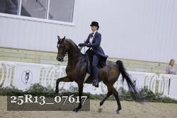 25R13_07617 thumbnail
