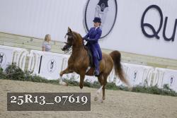 25R13_07619 thumbnail