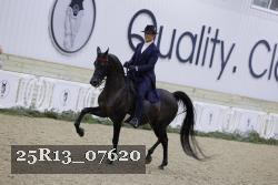 25R13_07620 thumbnail