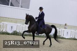 25R13_07621 thumbnail