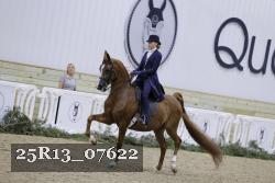25R13_07622 thumbnail