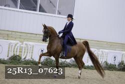 25R13_07623 thumbnail