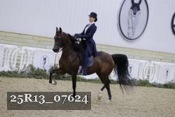 25R13_07624 thumbnail