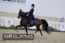 25R13_07625 thumbnail