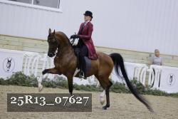 25R13_07627 thumbnail