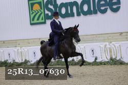 25R13_07630 thumbnail