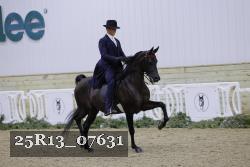 25R13_07631 thumbnail