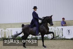 25R13_07632 thumbnail