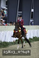 25R13_07648 thumbnail