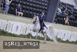 25R13_07651 thumbnail